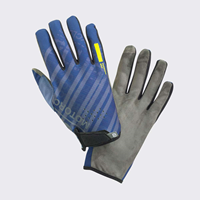 Bild von Authentic Handschuhe - Blau