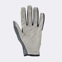 Bild von Authentic Handschuhe - Grau