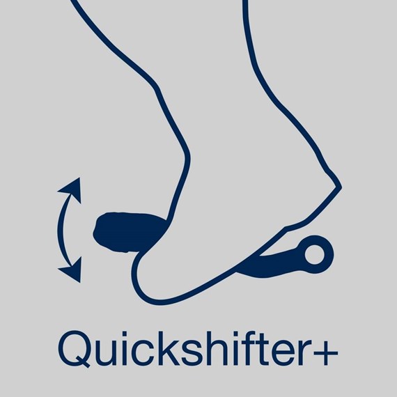 Bild von Quickshifter+