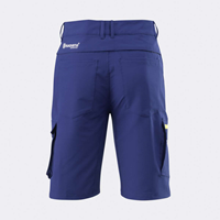 Bild von Team Shorts